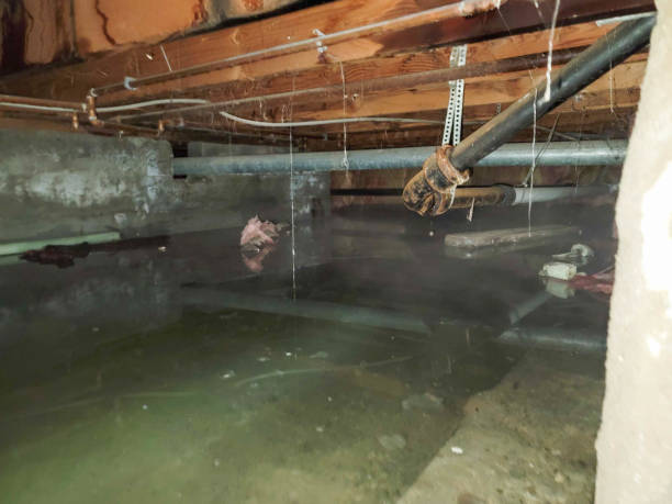 Best Flood restoration services  in Hewitt, NJ