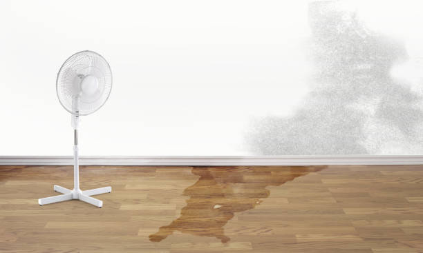 Best Sewage cleanup and water damage restoration  in Hewitt, NJ