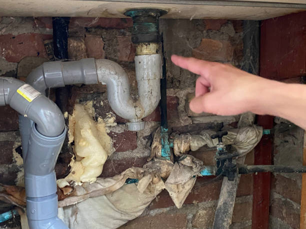 Best Carpet water damage restoration  in Hewitt, NJ